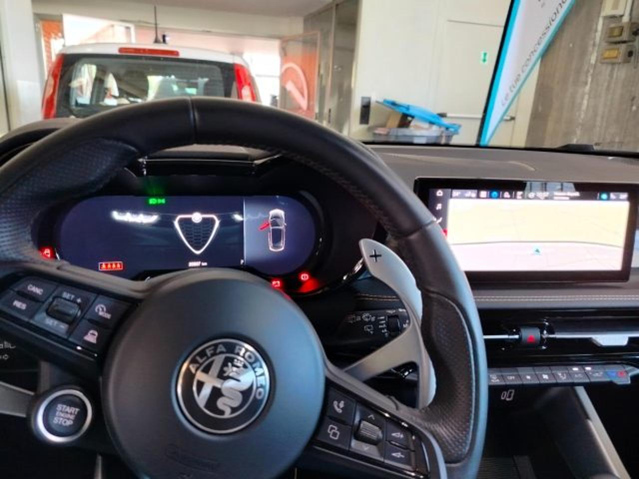 Alfa Romeo Alfa Romeo Tonale usata 15