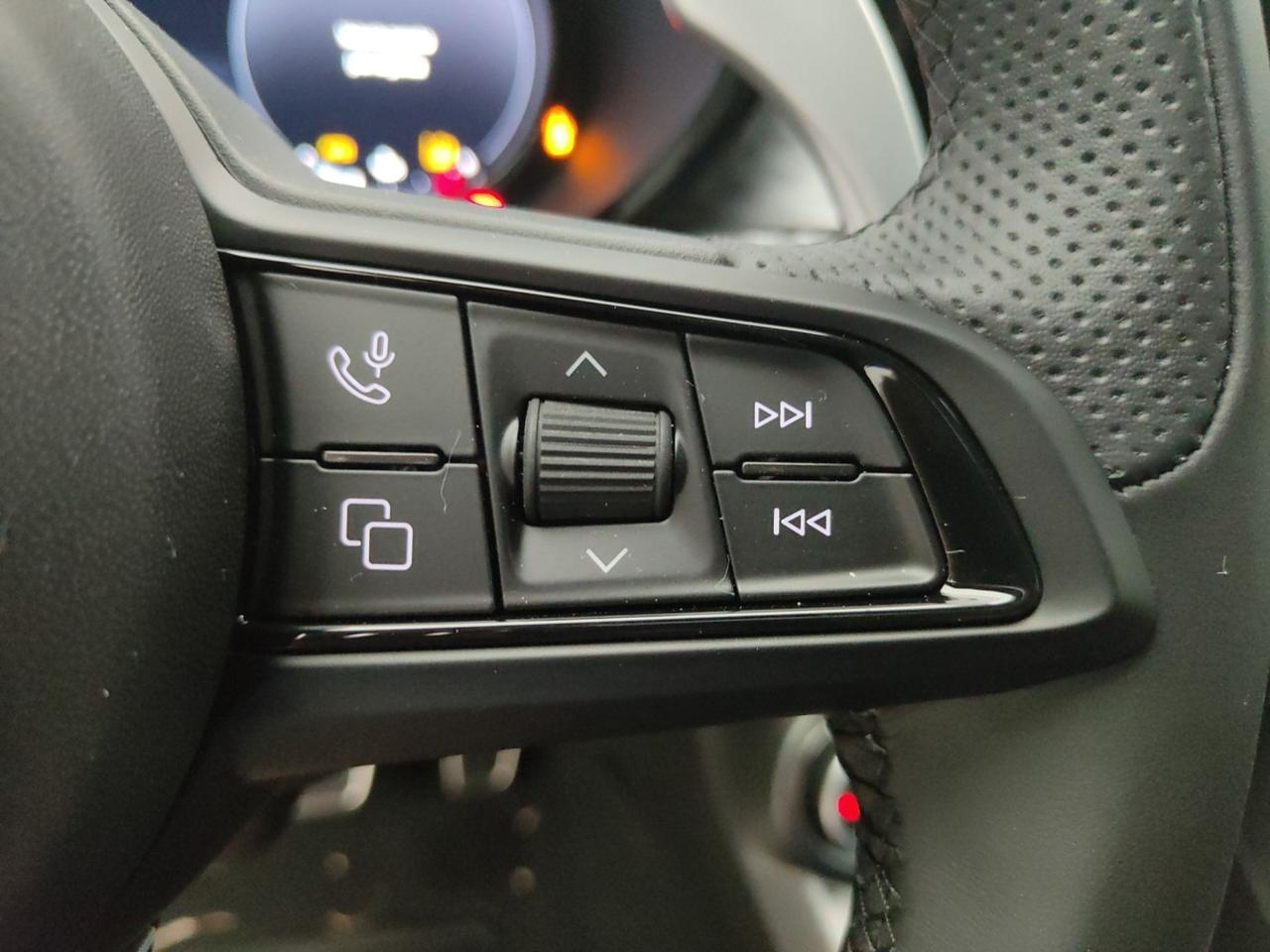 Alfa Romeo Alfa Romeo Tonale usata 12