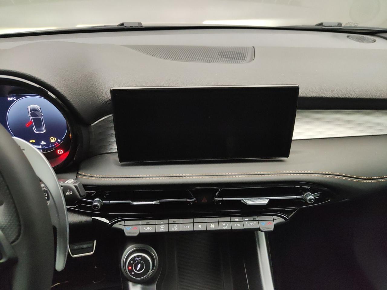 Alfa Romeo Alfa Romeo Tonale usata 15