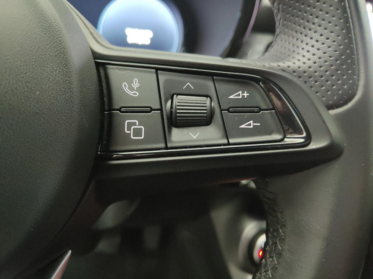 Alfa Romeo Alfa Romeo Tonale usata 4