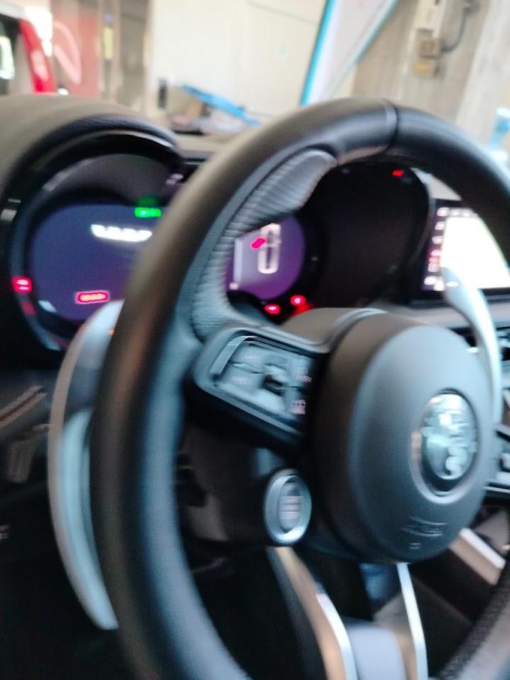 Alfa Romeo Alfa Romeo Tonale usata 8