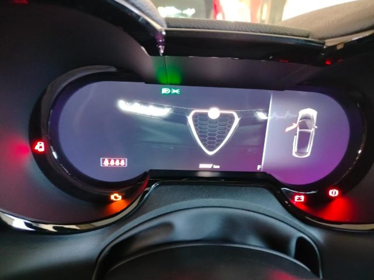 Alfa Romeo Alfa Romeo Tonale usata 13