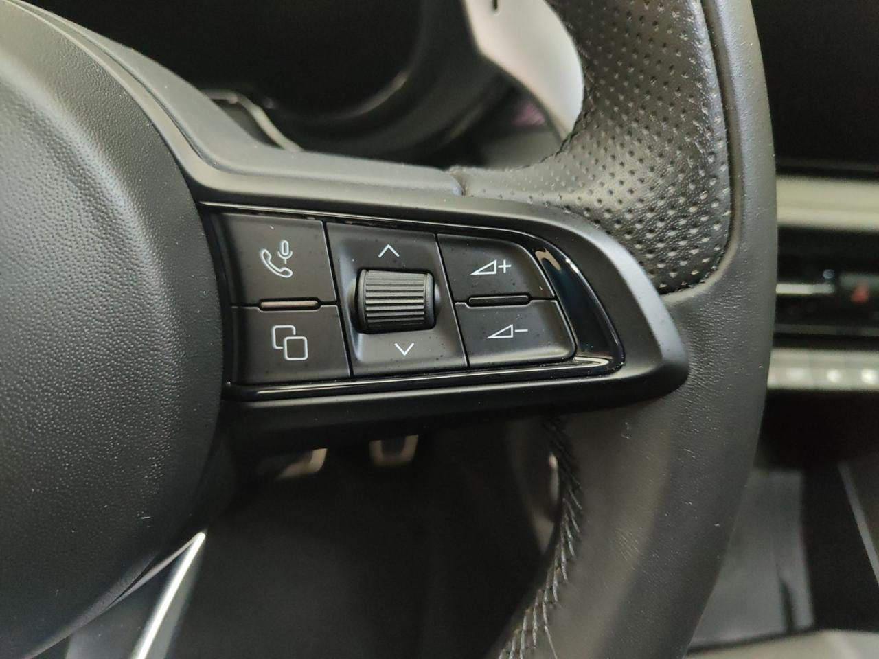 Alfa Romeo Alfa Romeo Tonale usata 7