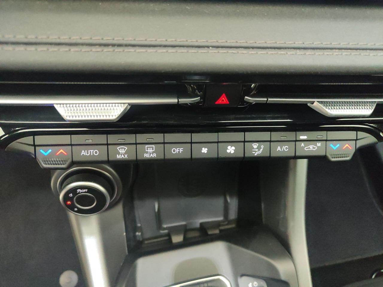 Alfa Romeo Alfa Romeo Tonale usata 13