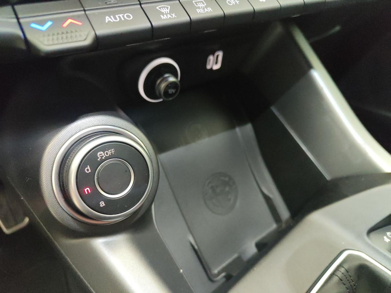 Alfa Romeo Alfa Romeo Tonale usata 14