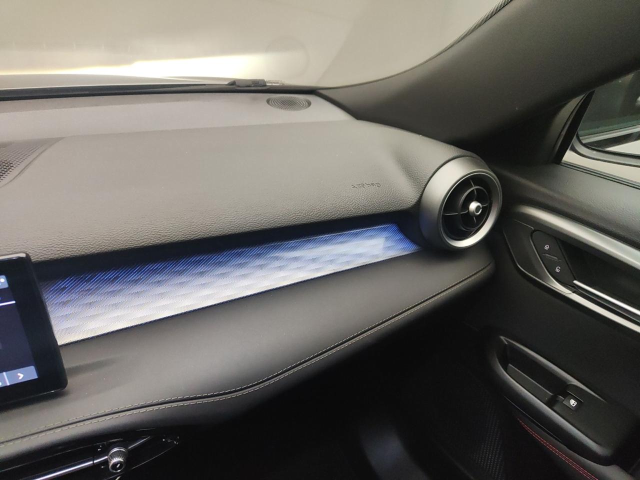 Alfa Romeo Alfa Romeo Tonale usata 19