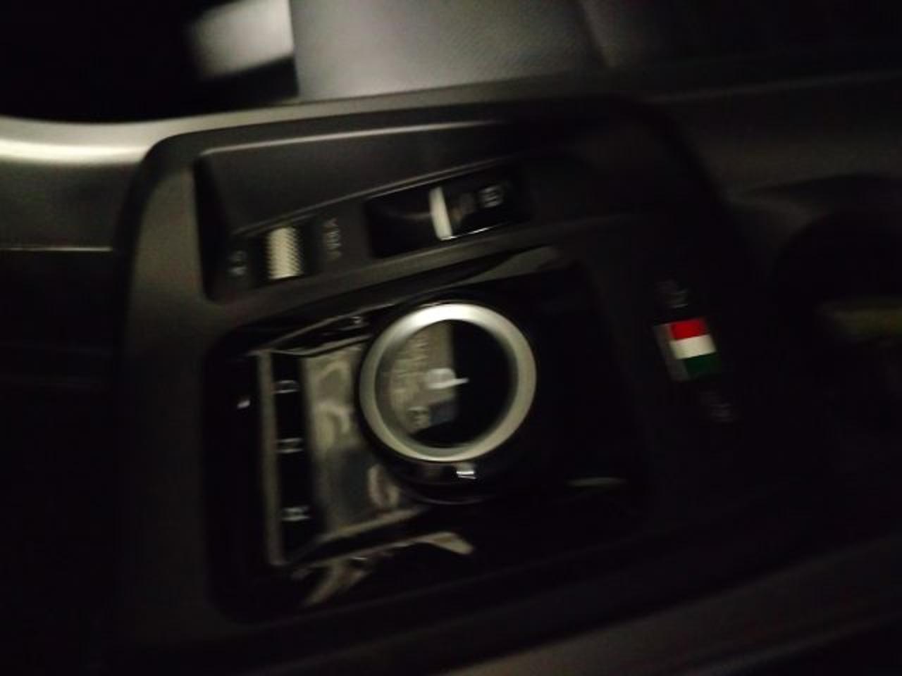 Alfa Romeo Alfa Romeo Tonale usata 8