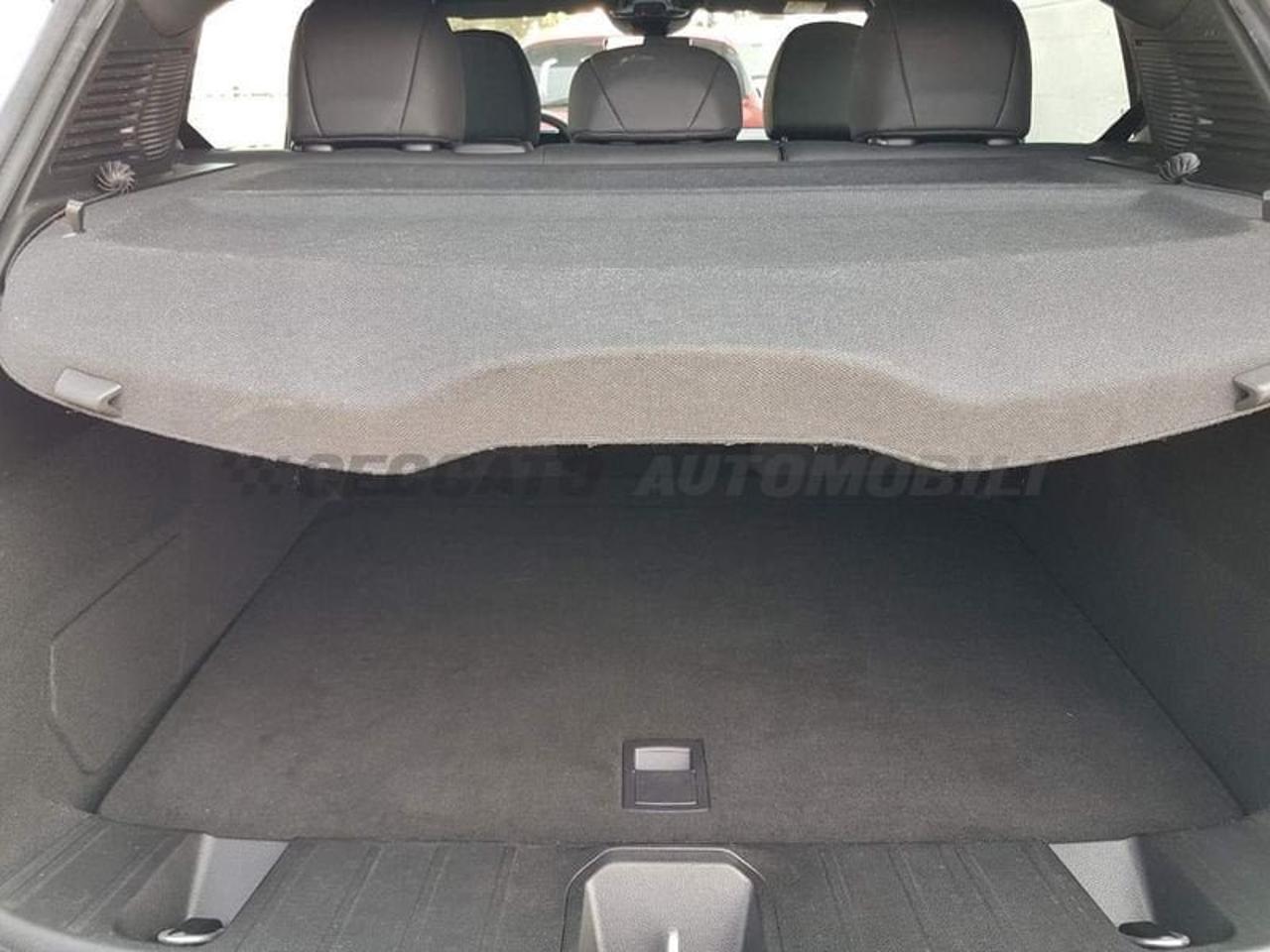 Alfa Romeo Alfa Romeo Tonale usata 6