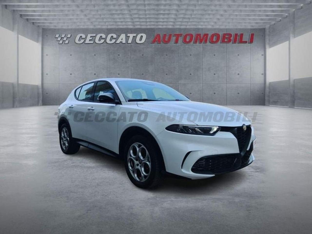 Alfa Romeo Alfa Romeo Tonale usata 7