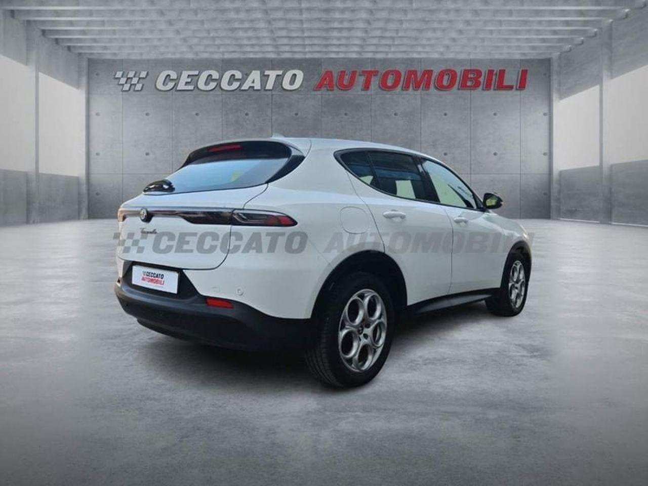Alfa Romeo Alfa Romeo Tonale usata 8