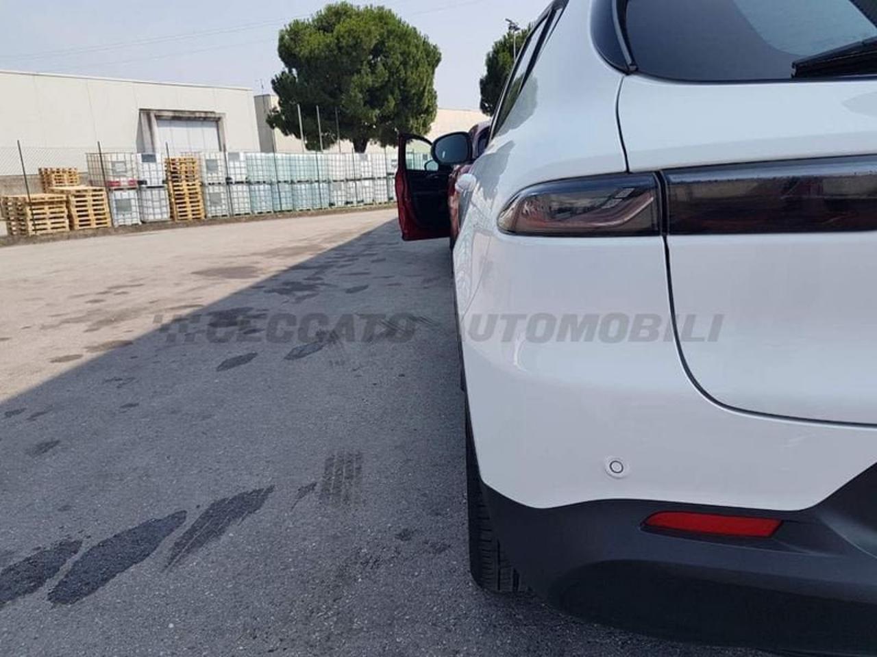 Alfa Romeo Alfa Romeo Tonale usata 10