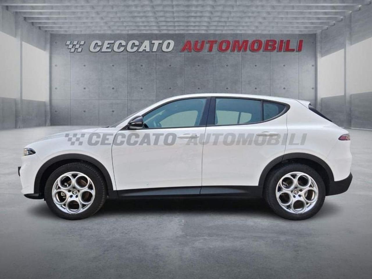 Alfa Romeo Alfa Romeo Tonale usata 11