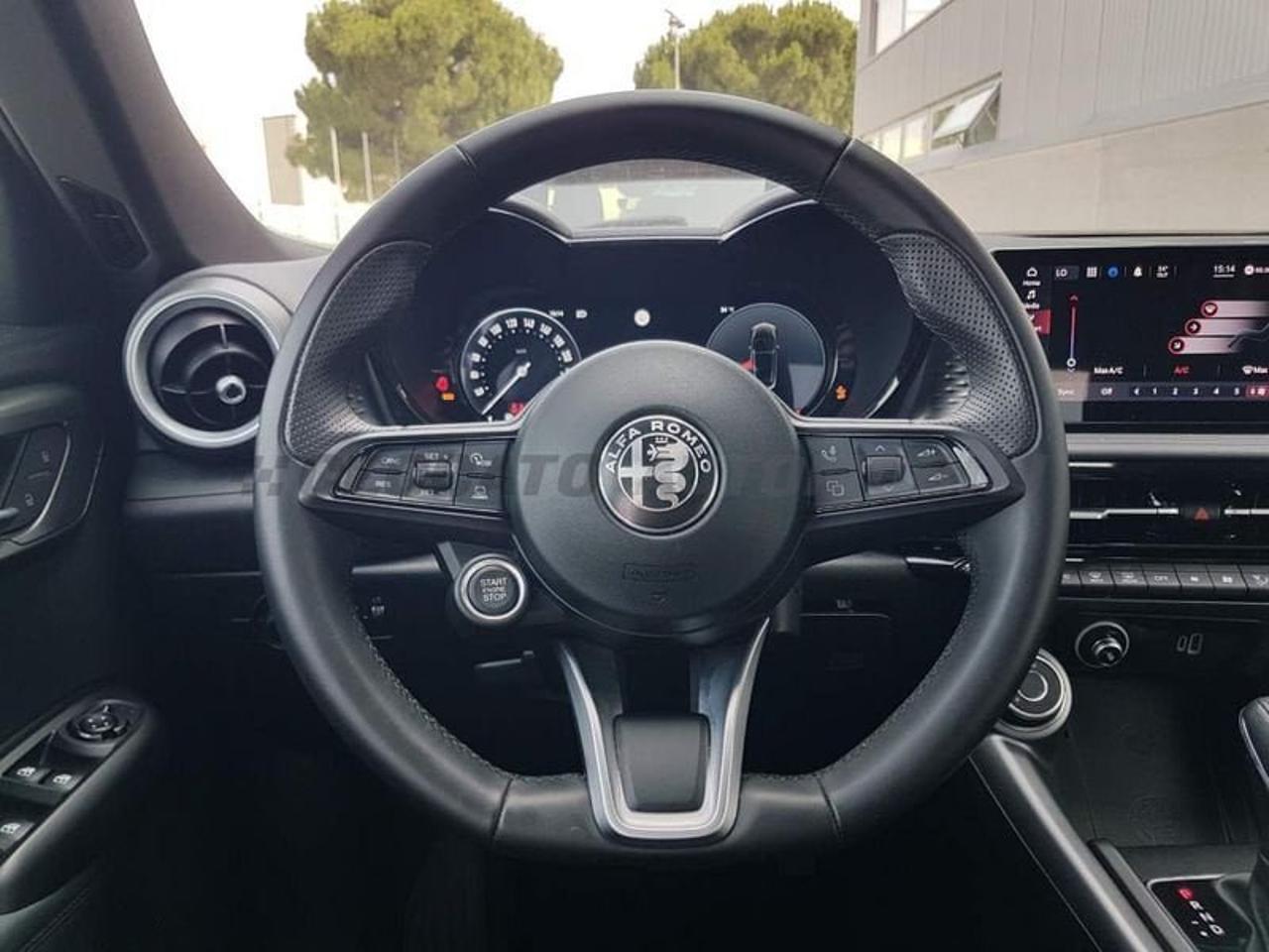 Alfa Romeo Alfa Romeo Tonale usata 12
