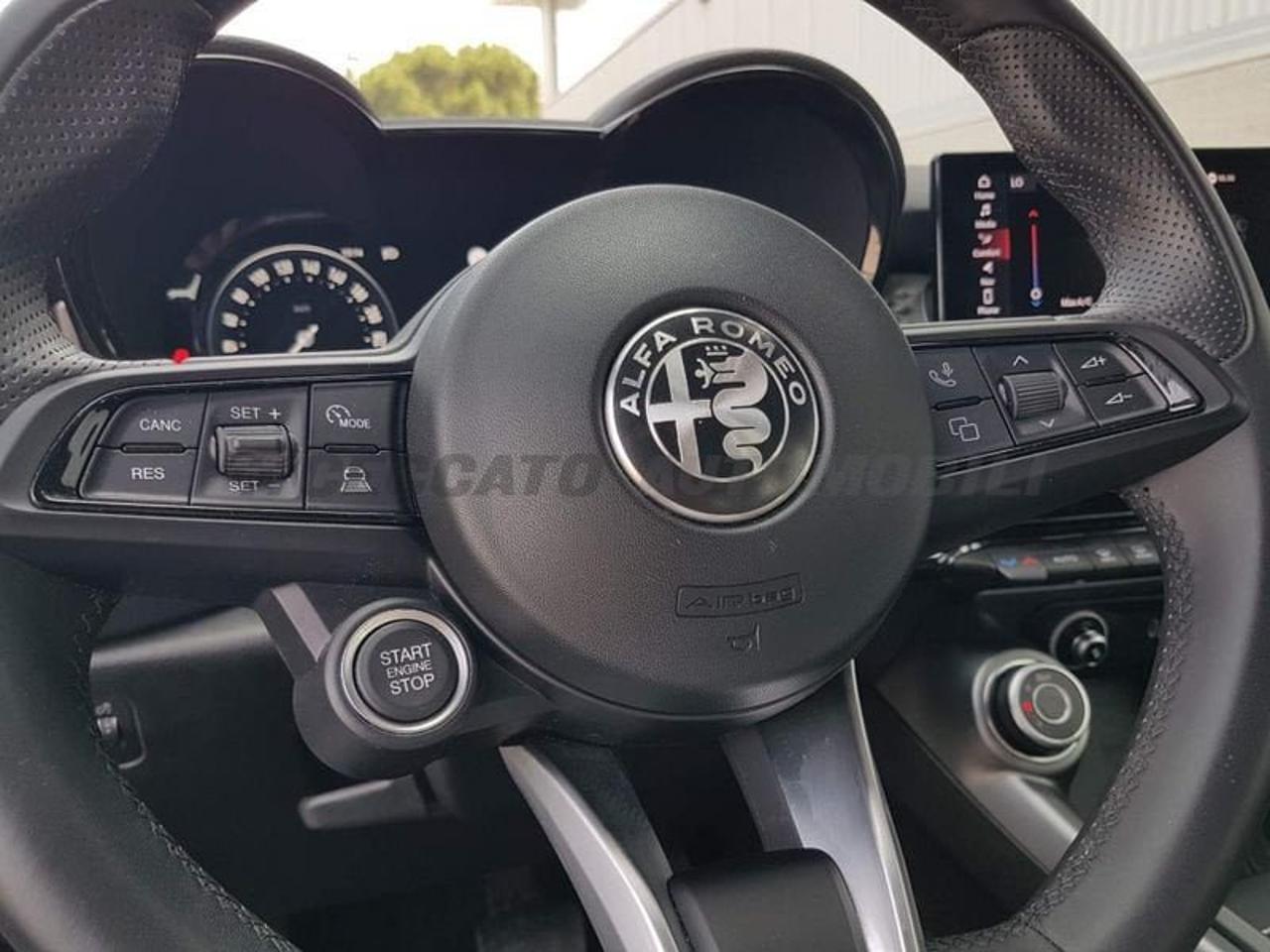 Alfa Romeo Alfa Romeo Tonale usata 14