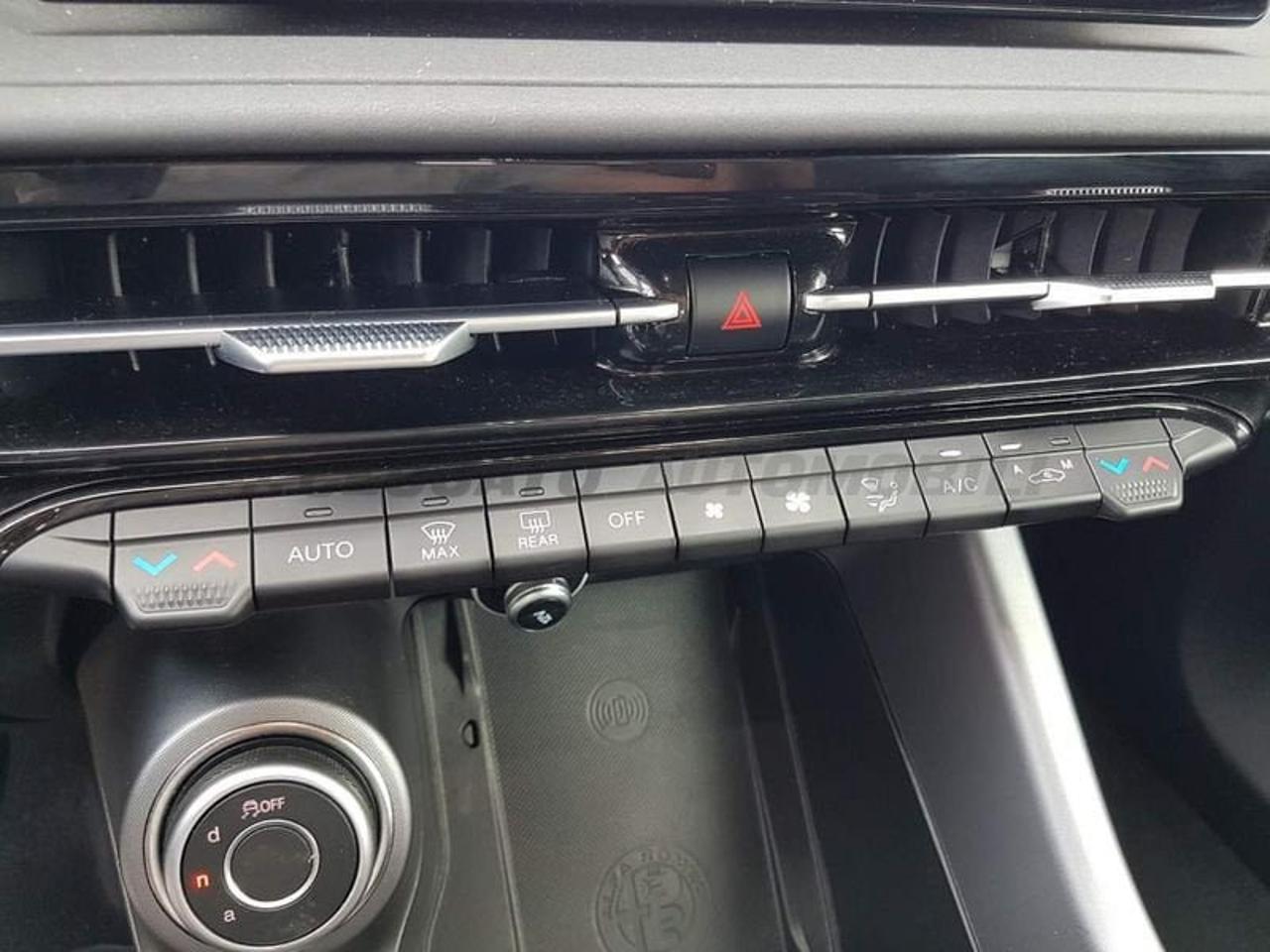 Alfa Romeo Alfa Romeo Tonale usata 15