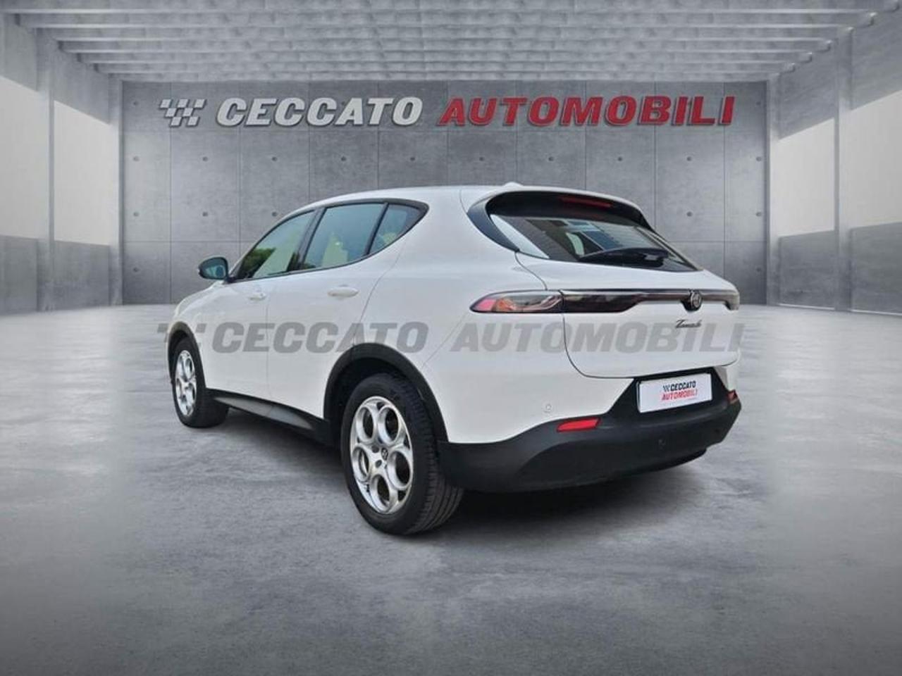 Alfa Romeo Alfa Romeo Tonale usata 17