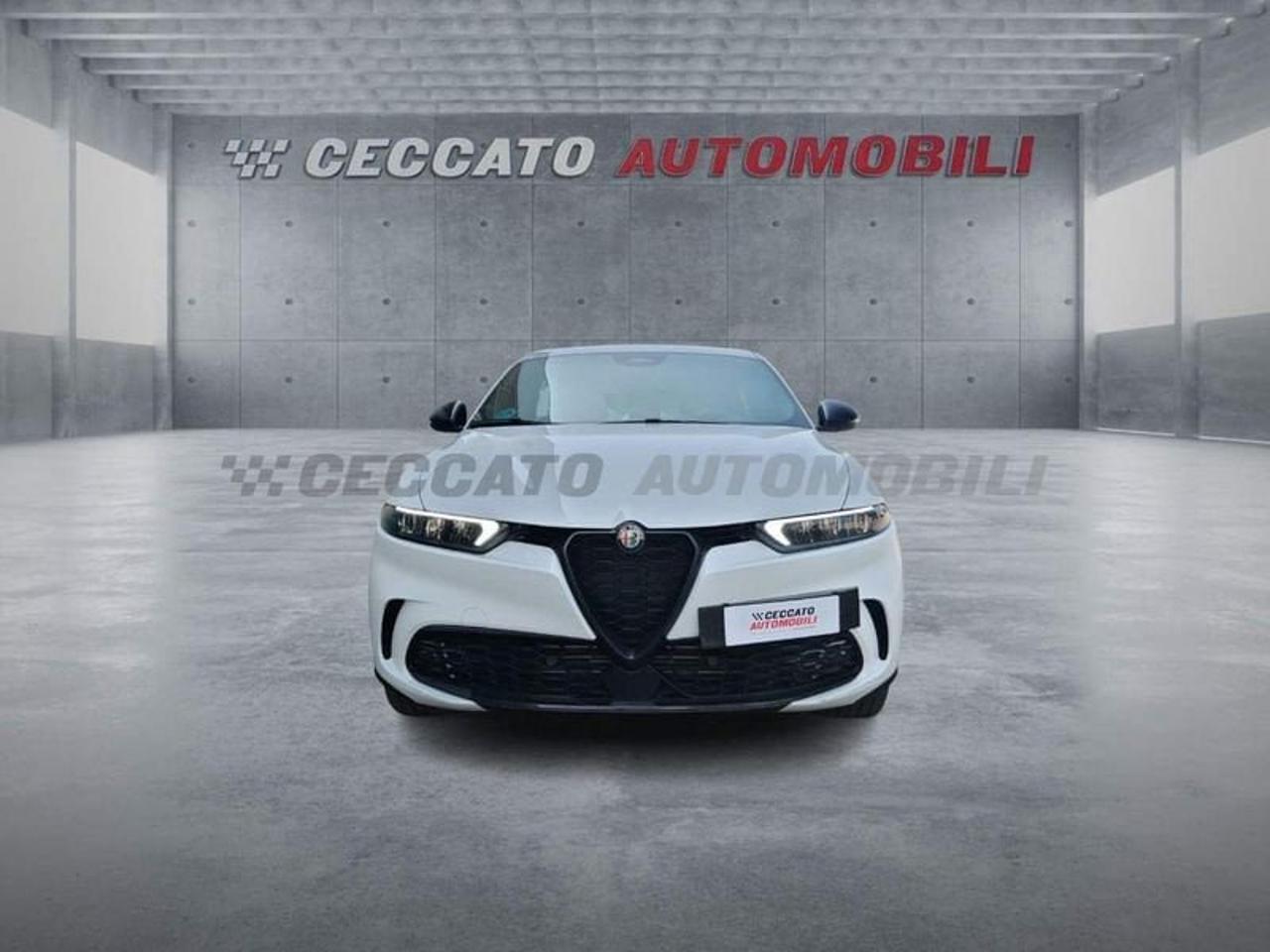 Alfa Romeo Alfa Romeo Tonale usata 18