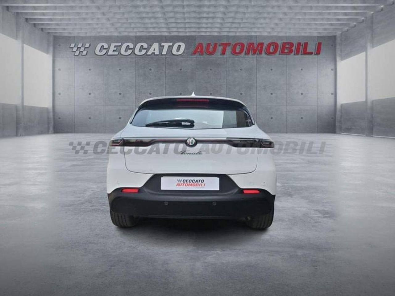 Alfa Romeo Alfa Romeo Tonale usata 19