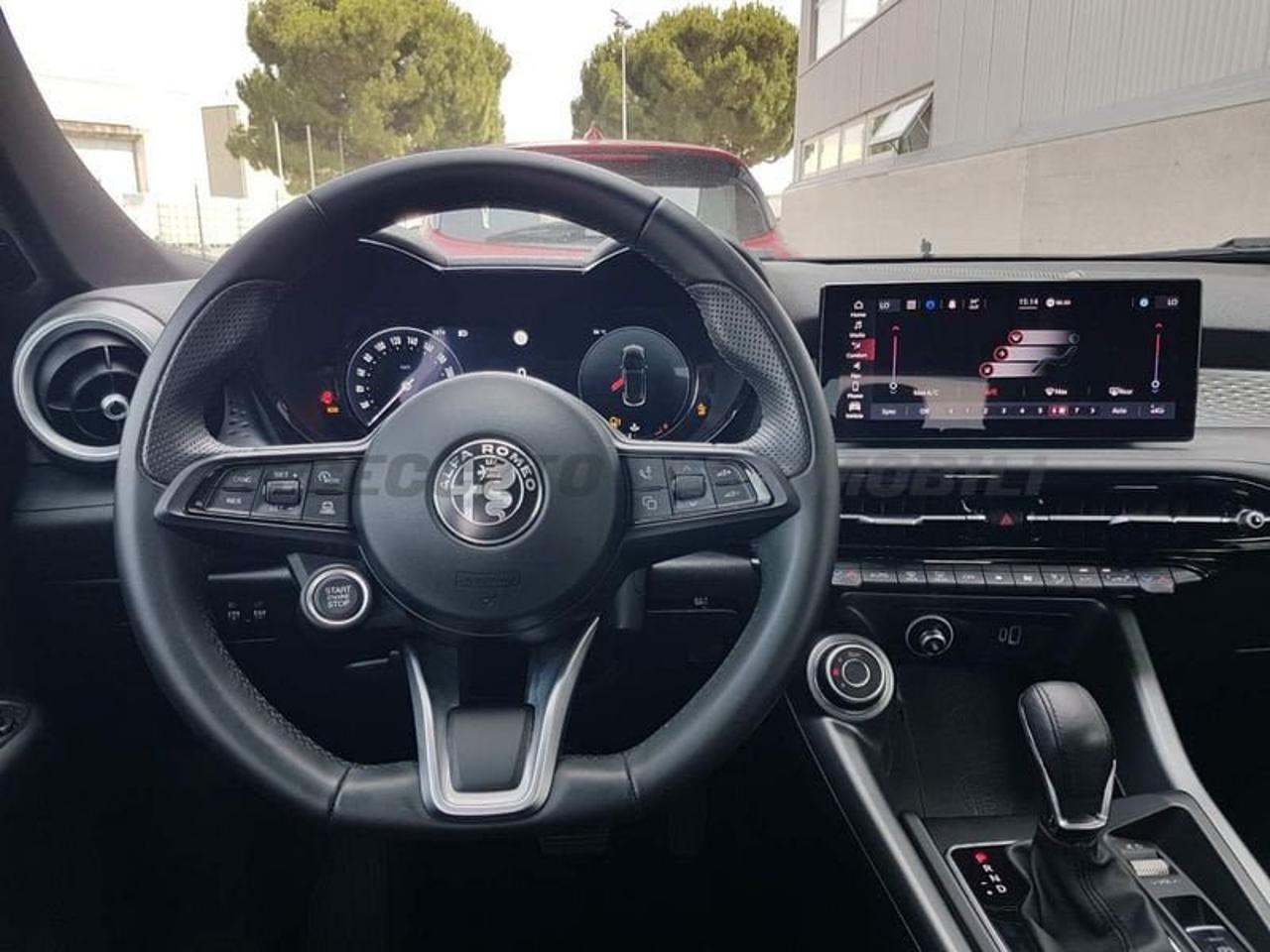 Alfa Romeo Alfa Romeo Tonale usata 22