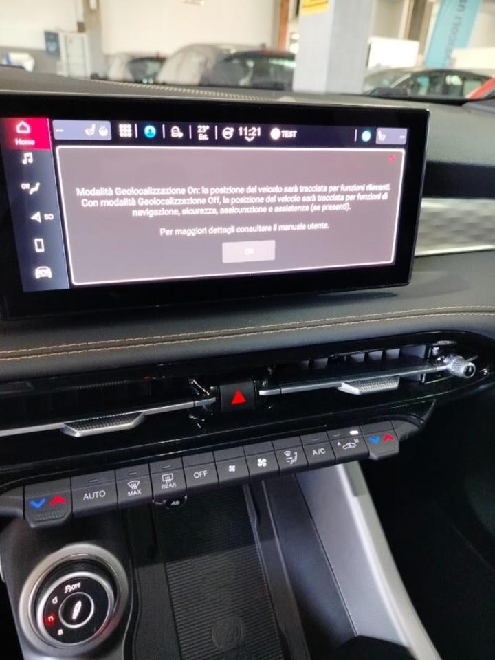 Alfa Romeo Alfa Romeo Tonale usata 17