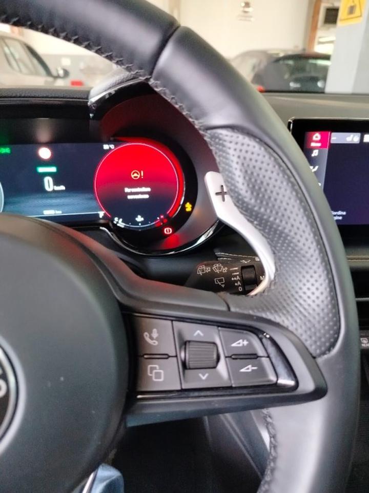 Alfa Romeo Alfa Romeo Tonale usata 19