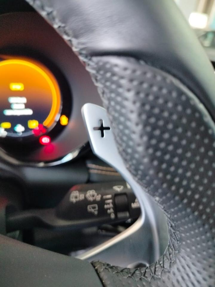 Alfa Romeo Alfa Romeo Tonale usata 20