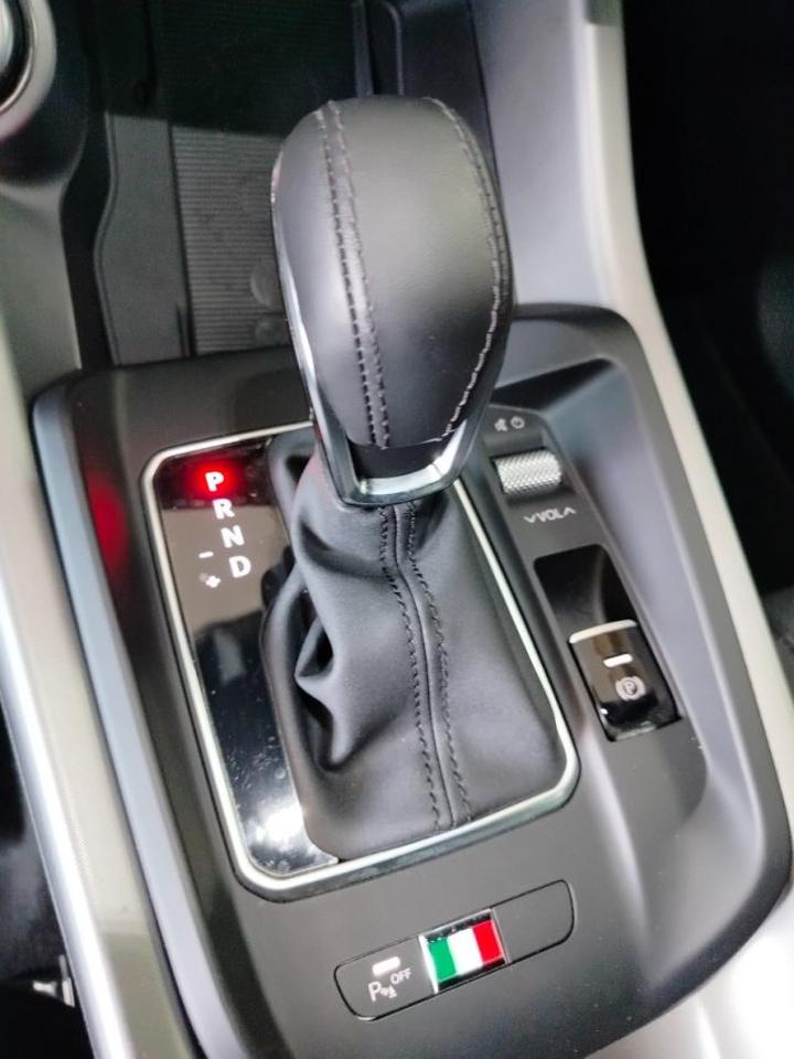 Alfa Romeo Alfa Romeo Tonale usata 23