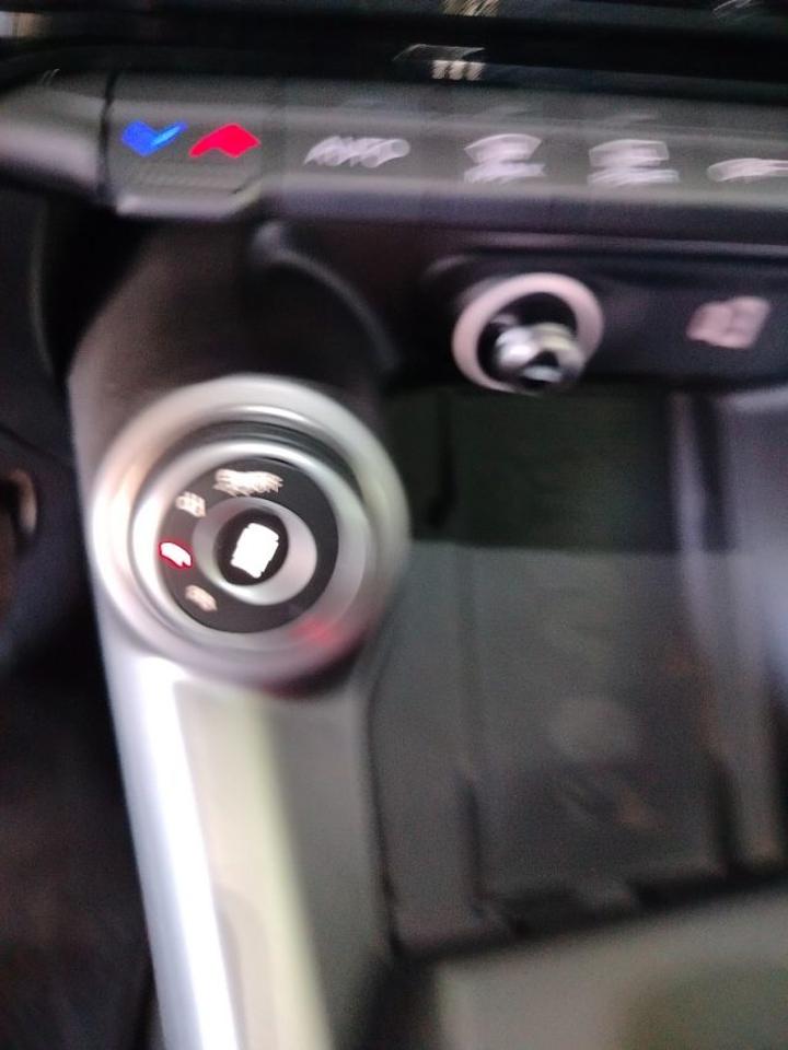 Alfa Romeo Alfa Romeo Tonale usata 24