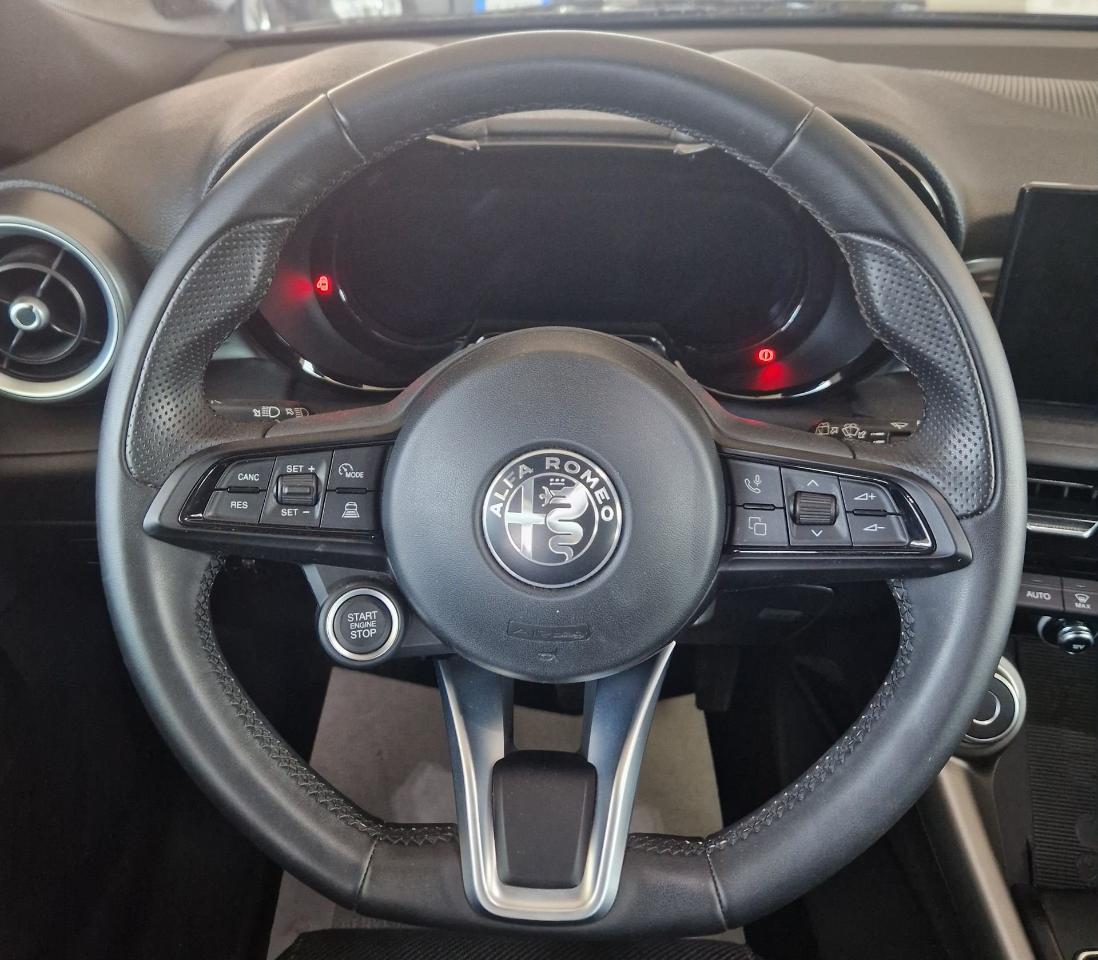 Alfa Romeo Alfa Romeo Tonale usata 3