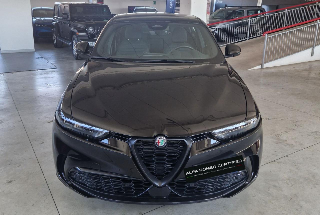 Alfa Romeo Alfa Romeo Tonale usata 11