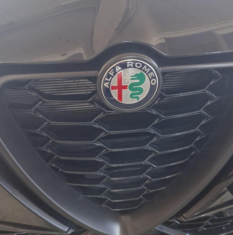 Alfa Romeo Alfa Romeo Tonale usata 12