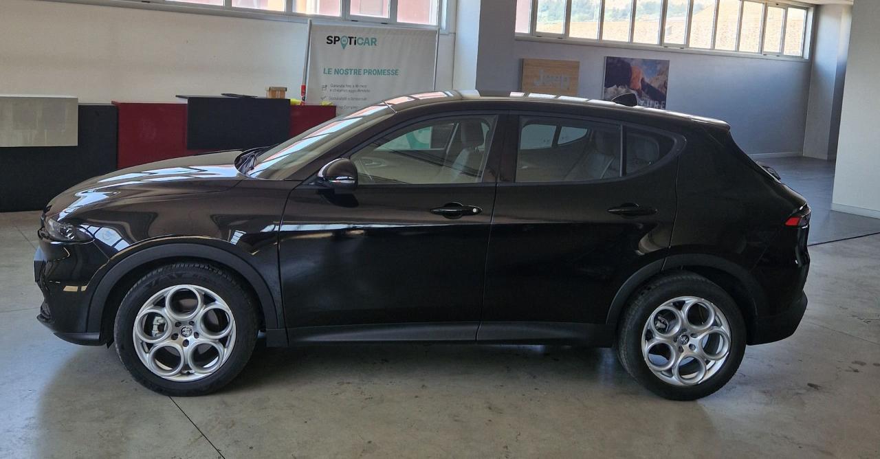 Alfa Romeo Alfa Romeo Tonale usata 14