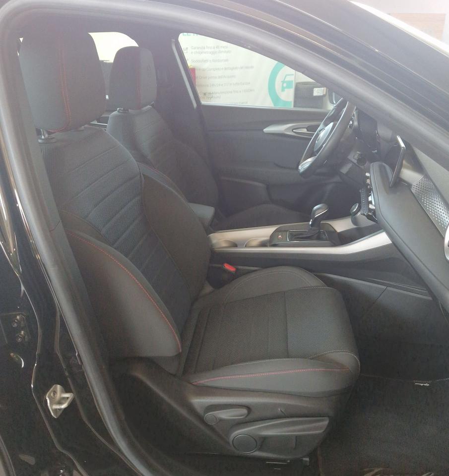 Alfa Romeo Alfa Romeo Tonale usata 19
