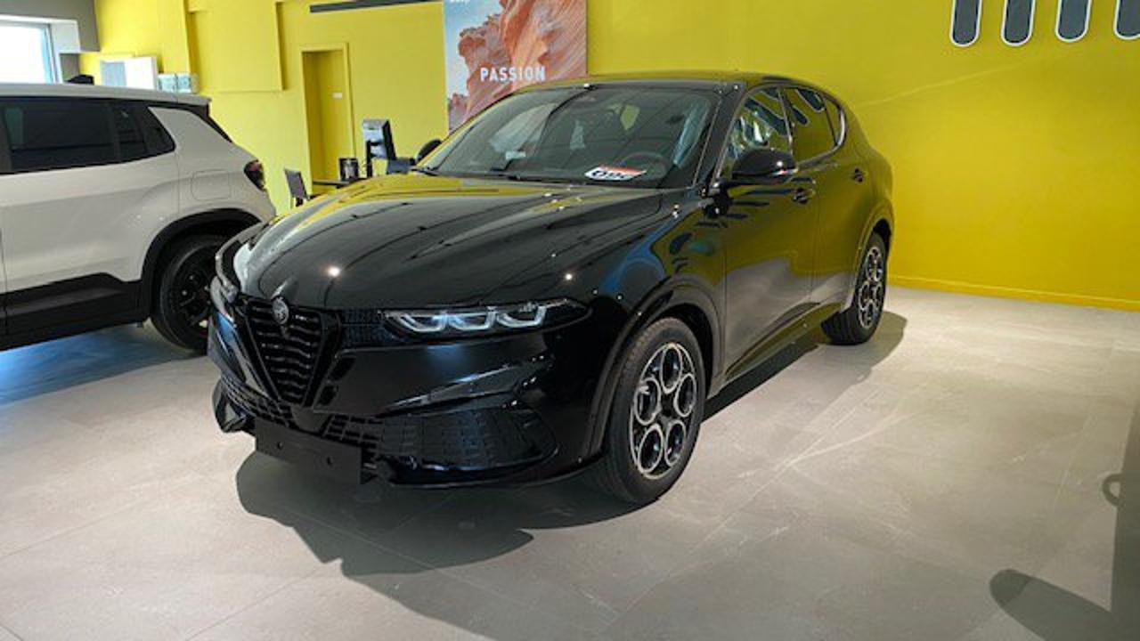 Alfa Romeo Alfa Romeo Tonale usata 13
