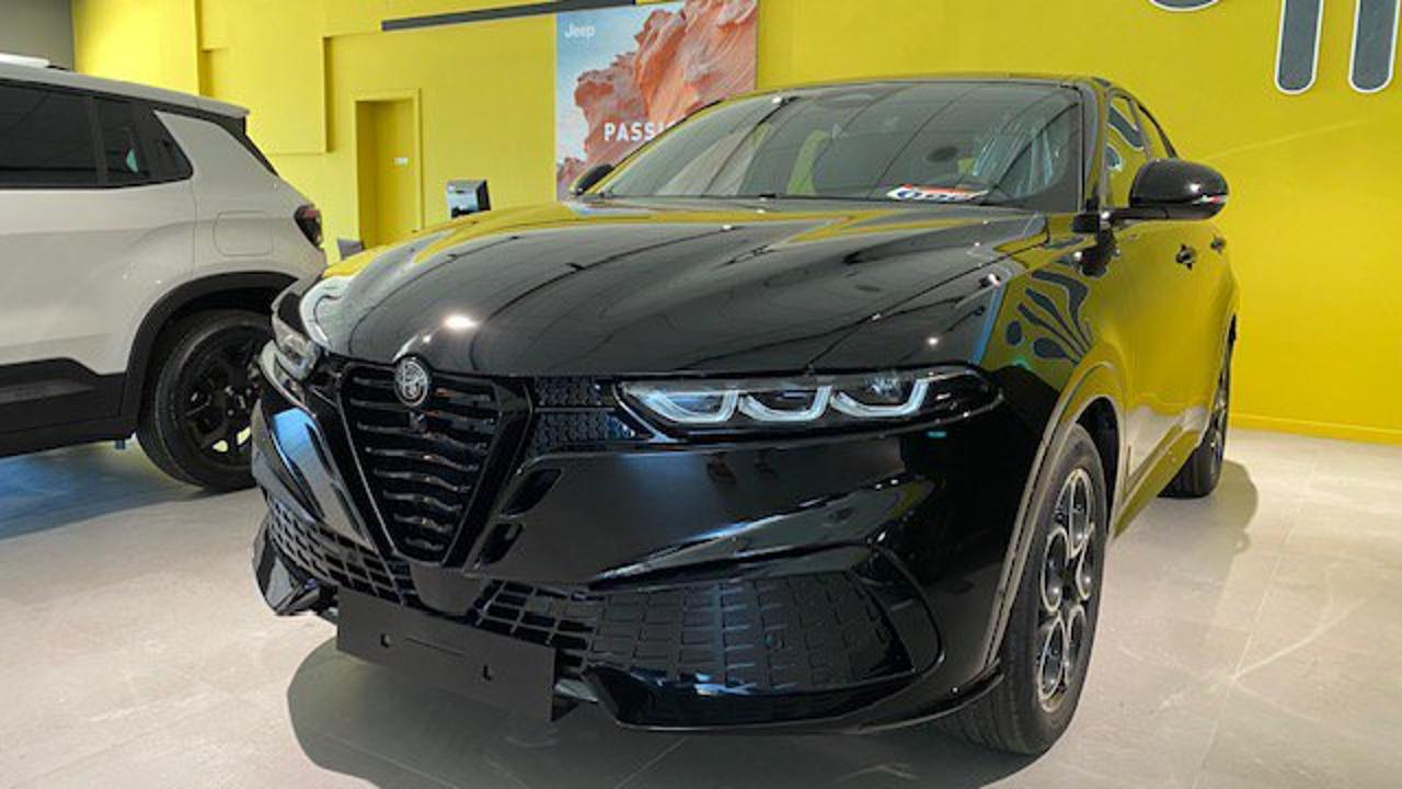 Alfa Romeo Alfa Romeo Tonale usata 14