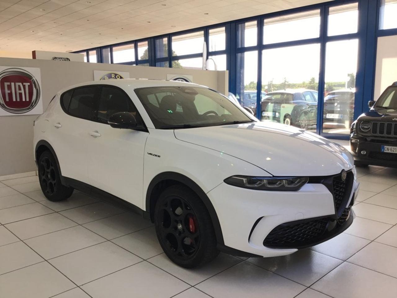 Alfa Romeo Alfa Romeo Tonale usata 9