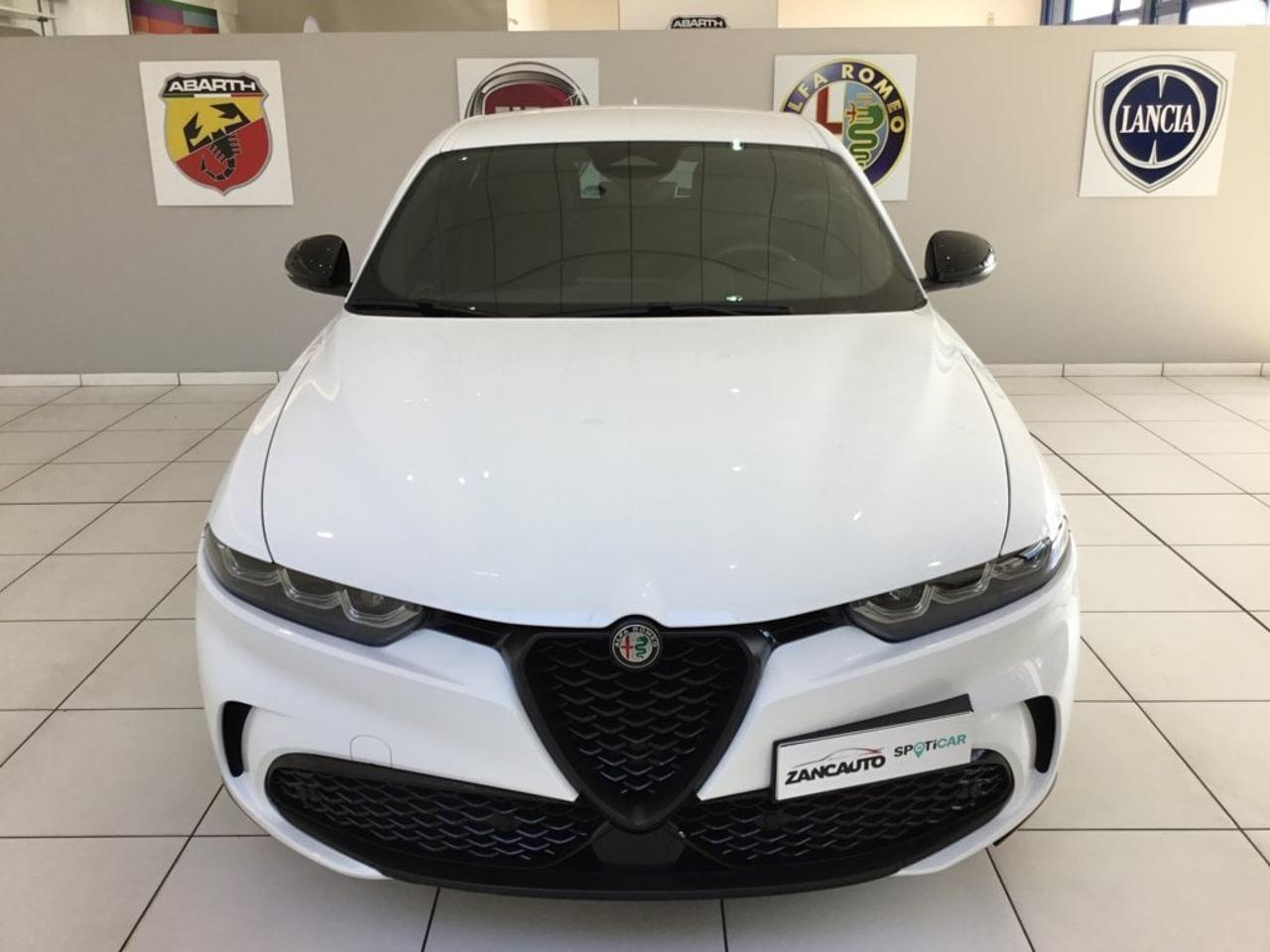 Alfa Romeo Alfa Romeo Tonale usata 10