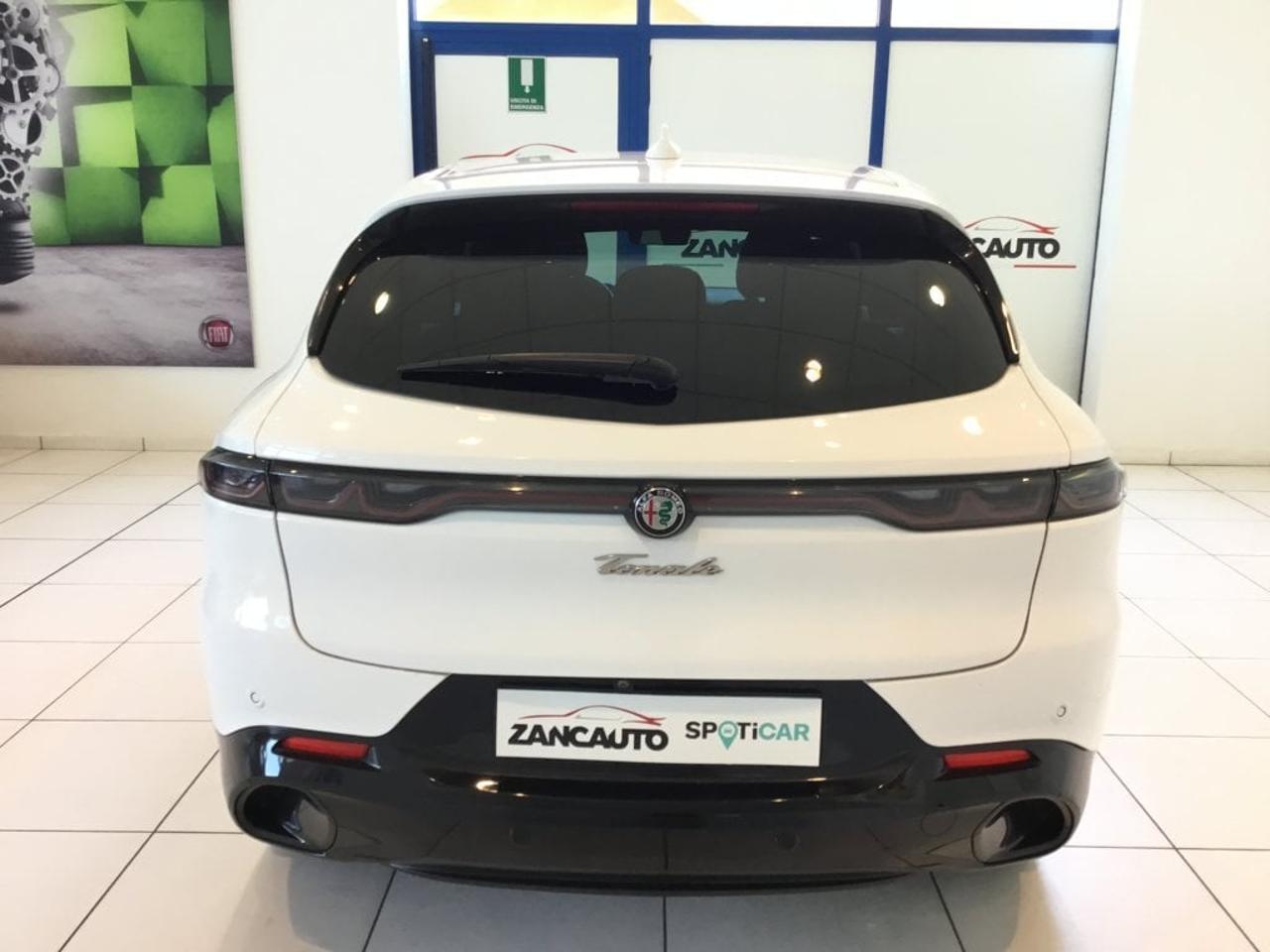 Alfa Romeo Alfa Romeo Tonale usata 12