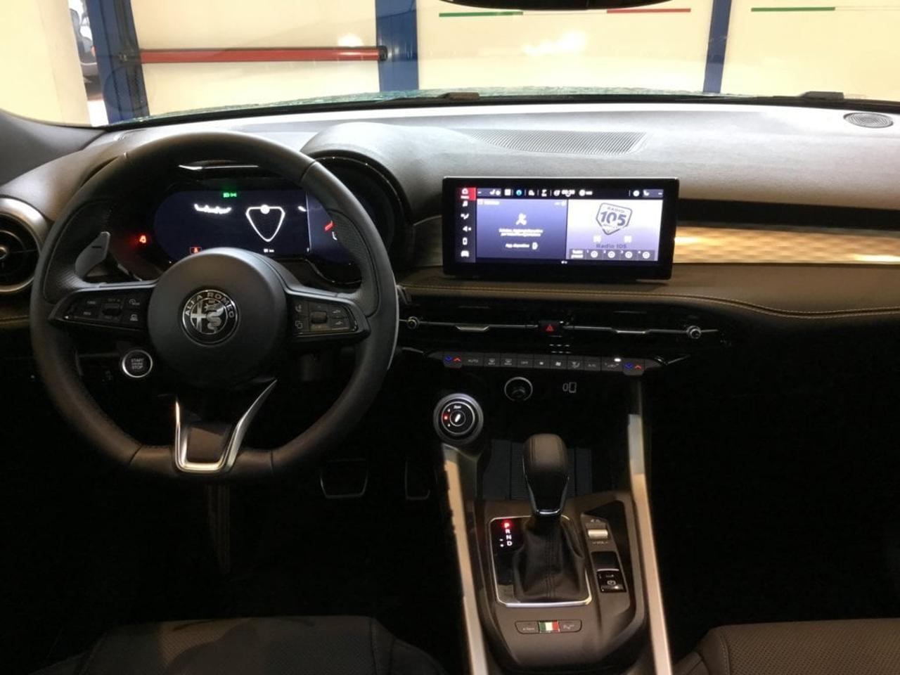 Alfa Romeo Alfa Romeo Tonale usata 15