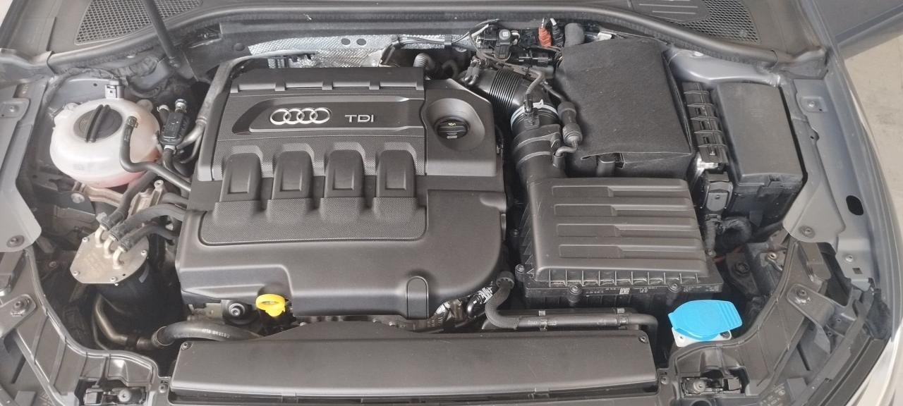 Audi Audi A3 usata 25