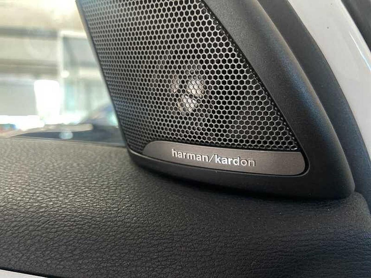 BMW Bmw X1 usata 7