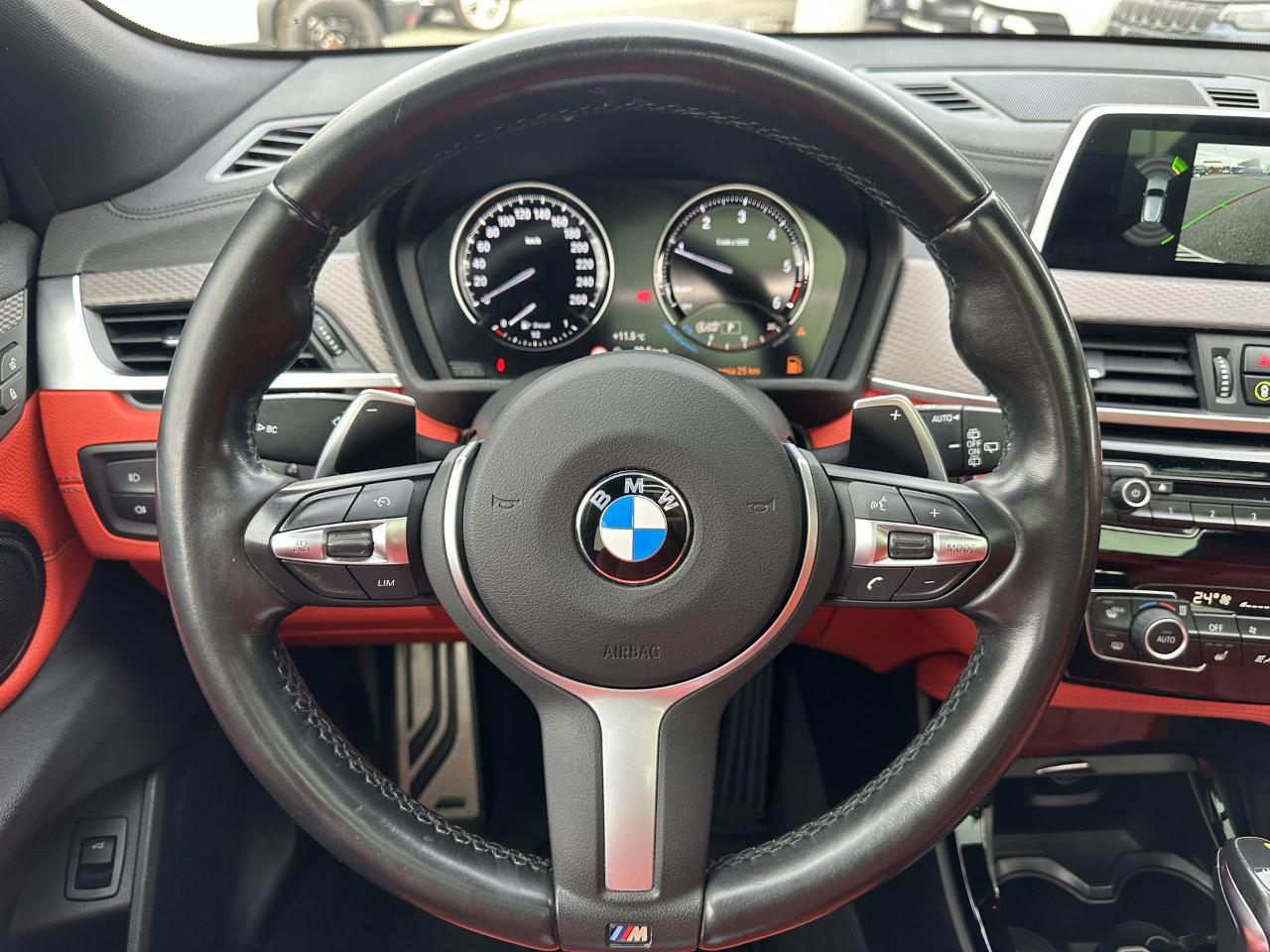 BMW Bmw X2 usata 10