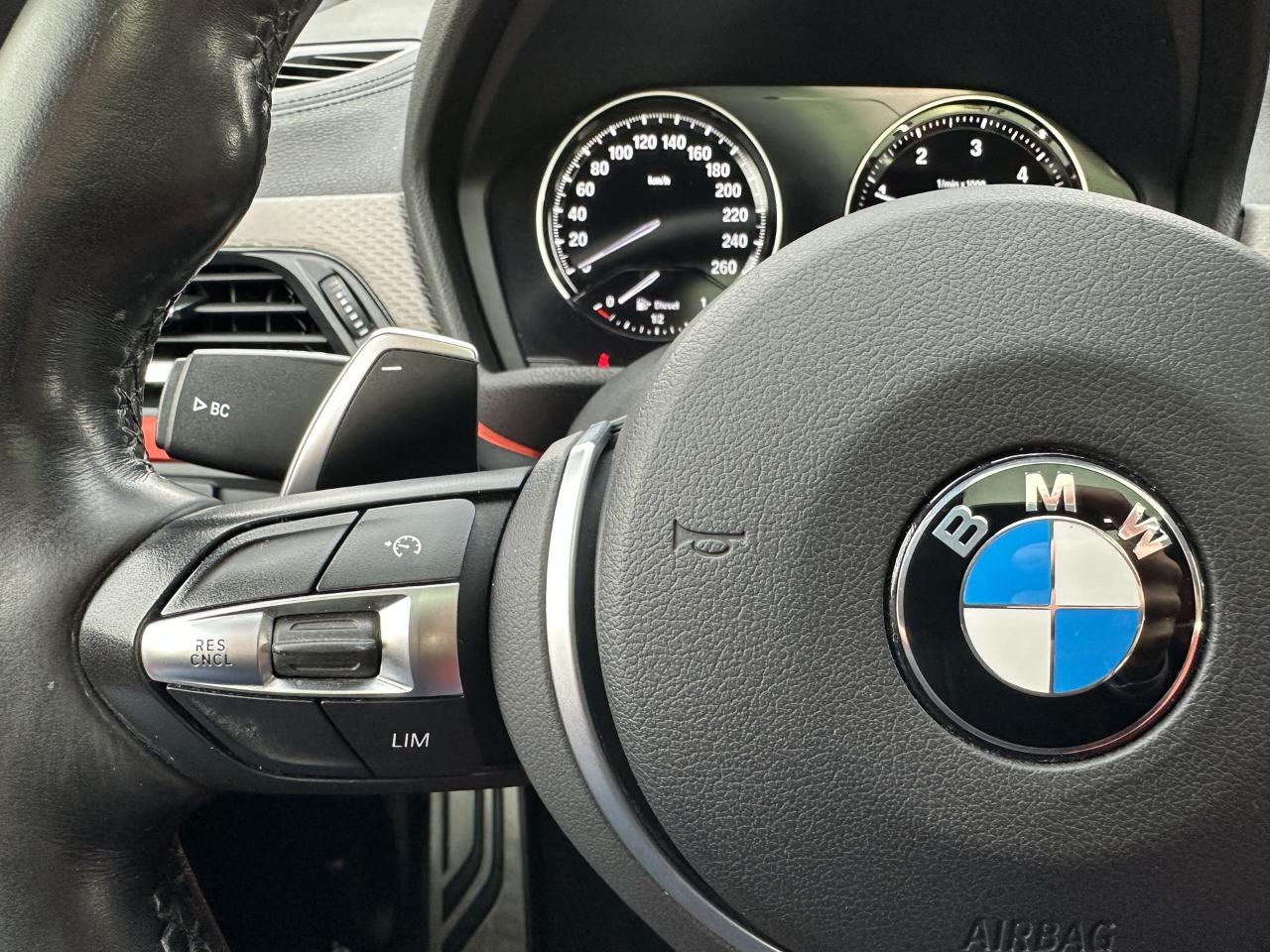 BMW Bmw X2 usata 12