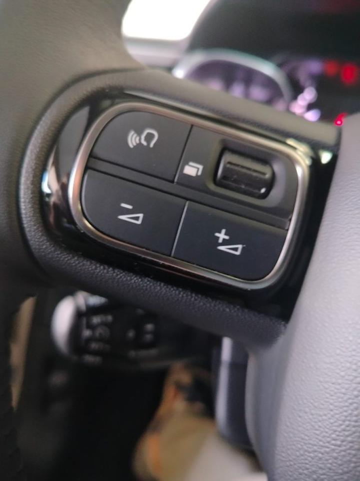 Citroën Citroën C3 usata 17
