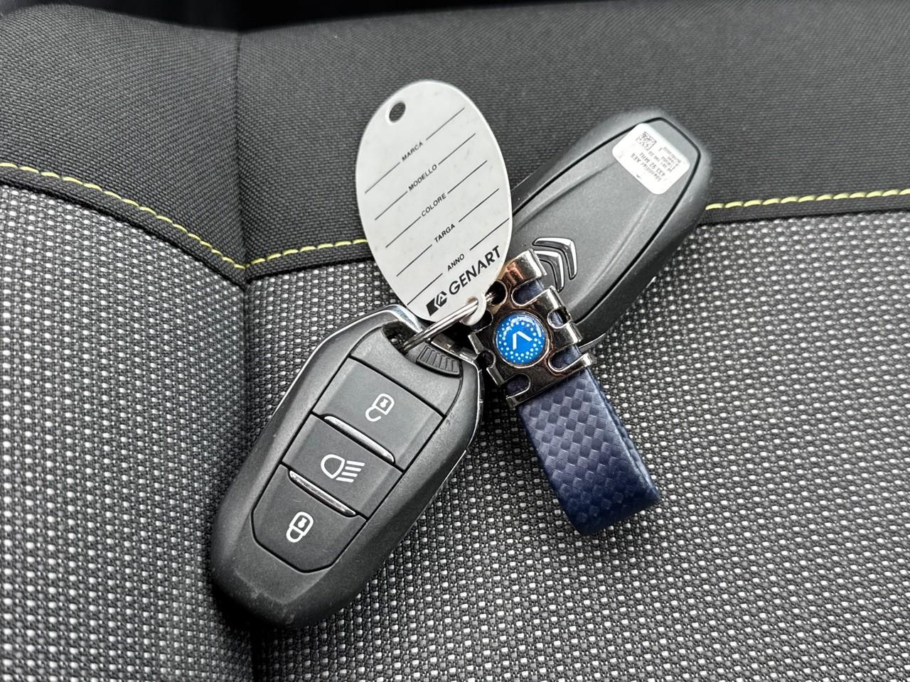 Citroën Citroën C3 usata 13