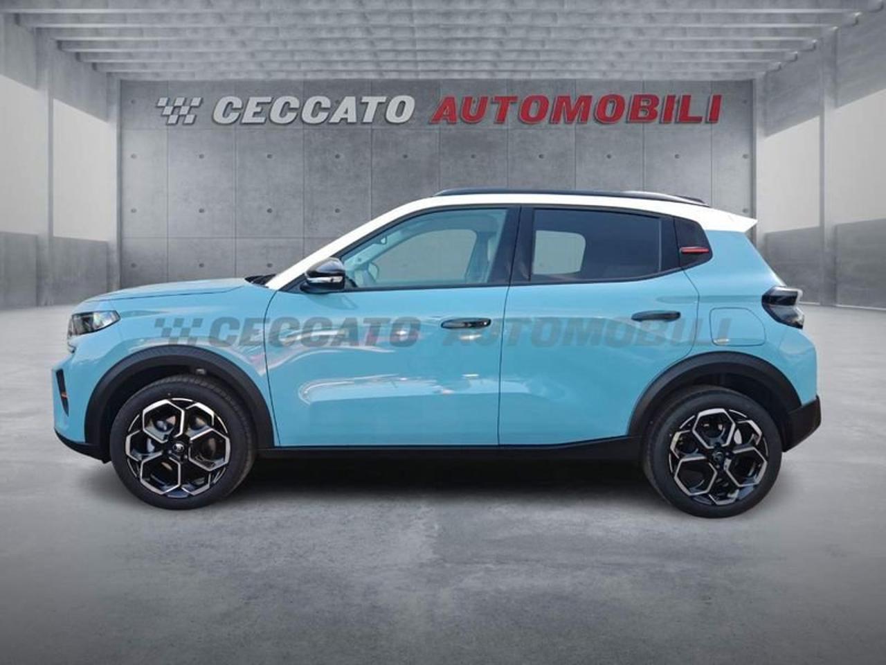 Citroën Citroën C3 usata 11