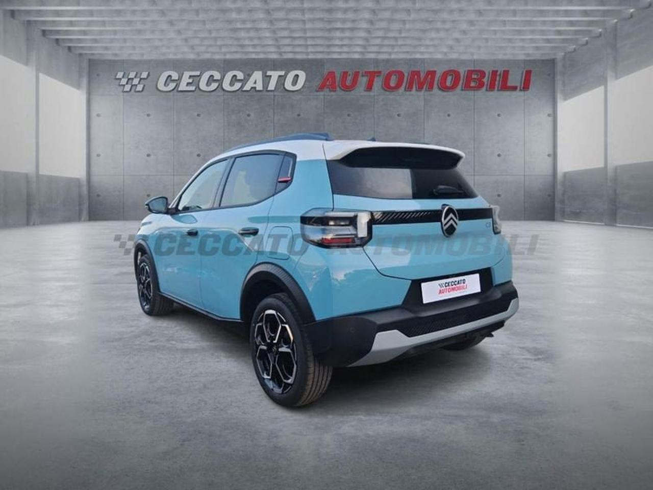 Citroën Citroën C3 usata 18