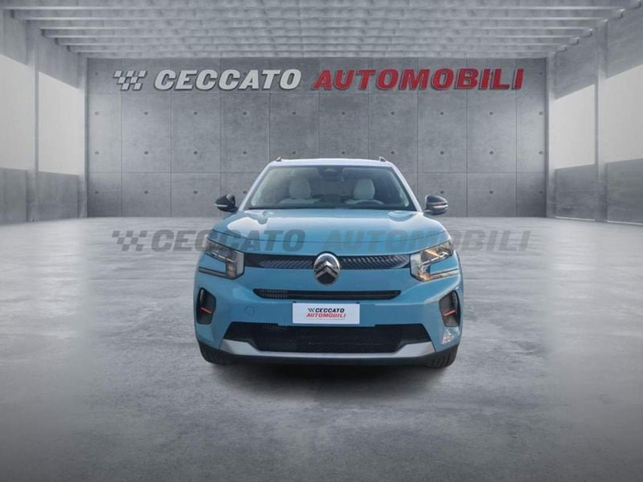 Citroën Citroën C3 usata 19