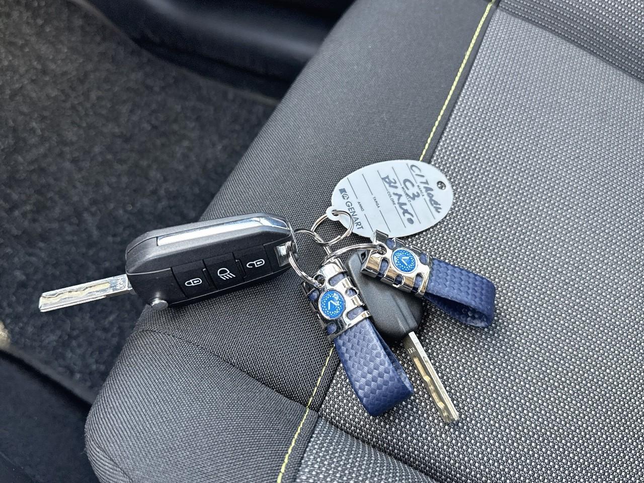 Citroën Citroën C3 usata 8