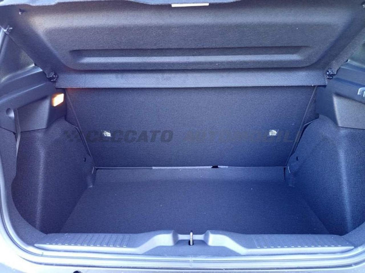 Citroën Citroën C3 usata 6